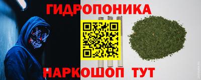 сатива Шахты